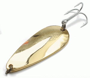 spoon fishing lure